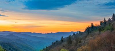 smokies