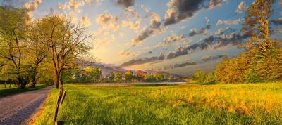 country road